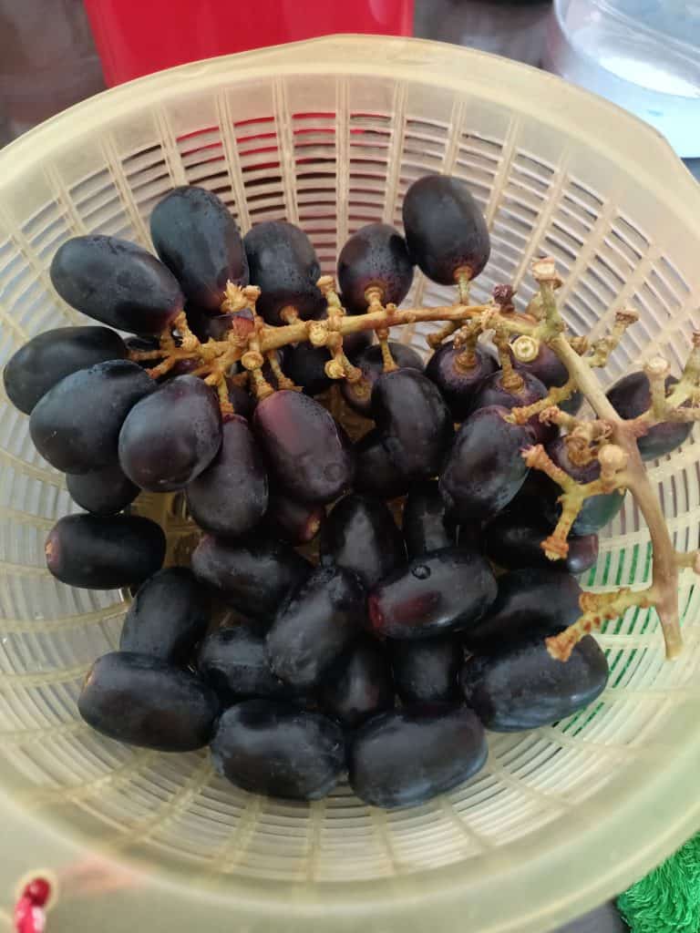 petaling jaya community pj fruits delivery 6